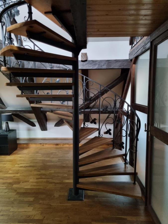 Galerie Vila Lucia #5 - mezotonový apartmán Plzeň Exterior foto